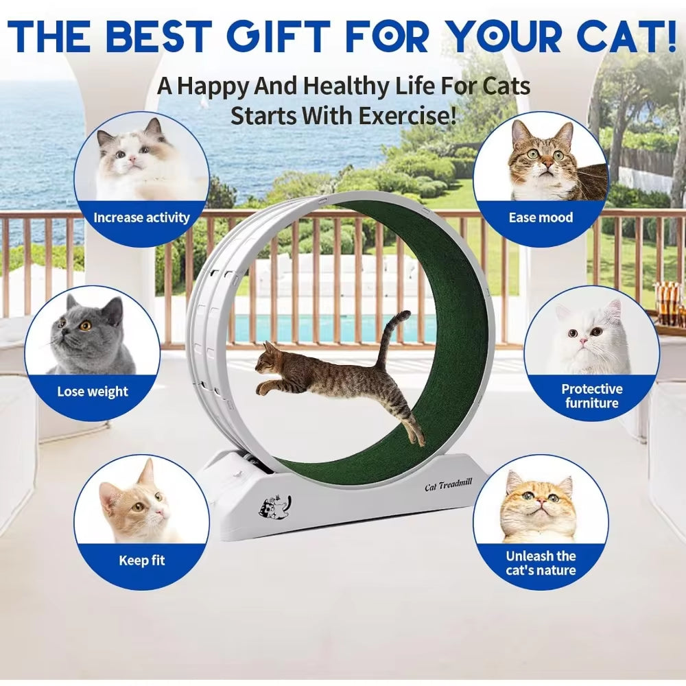 Cat Treadmill Wheel Exerciser | Upgraded Running Wheel with Carpeted Runway for Indoor Cats | Pet Exercise & Toys for Longer Life