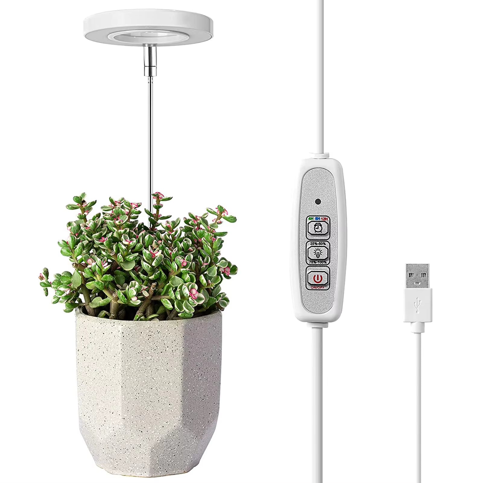 LED Grow Light Full Spectrum USB Phytolamp for Indoor Plants | 5V Plant Growth Lighting