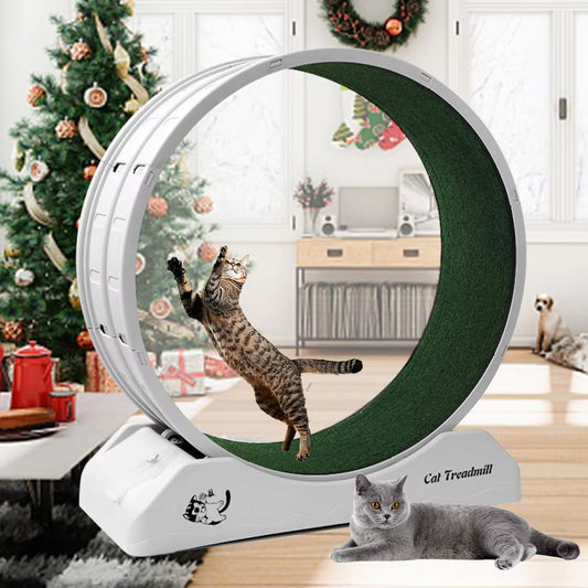 Cat Treadmill Wheel Exerciser | Upgraded Running Wheel with Carpeted Runway for Indoor Cats | Pet Exercise & Toys for Longer Life